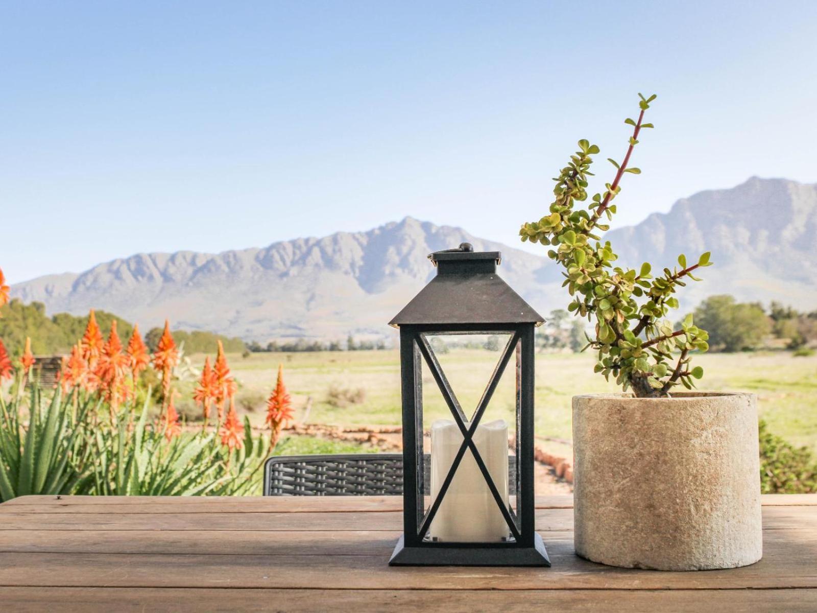 Отель Duikersdrift Winelands Country Escape Тульбах Экстерьер фото