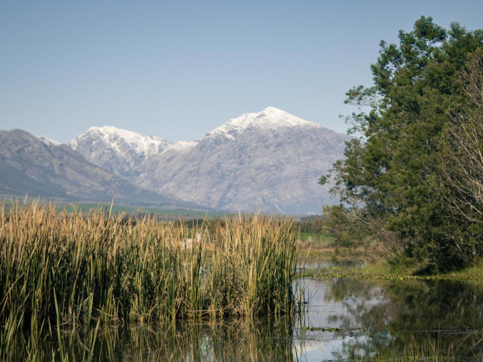 Отель Duikersdrift Winelands Country Escape Тульбах Экстерьер фото
